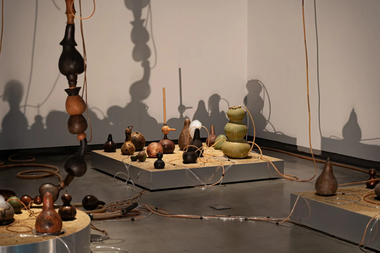 Truong Cong Tung, The State of absence… Voice from outside, 2020-ongoing, Installation: Gourds, water, soil, seeds, machinery, time, and temperature, Dimension variable. Photo: Marisa Srijunpleang. Courtesy of Jim Thompson Art Center.