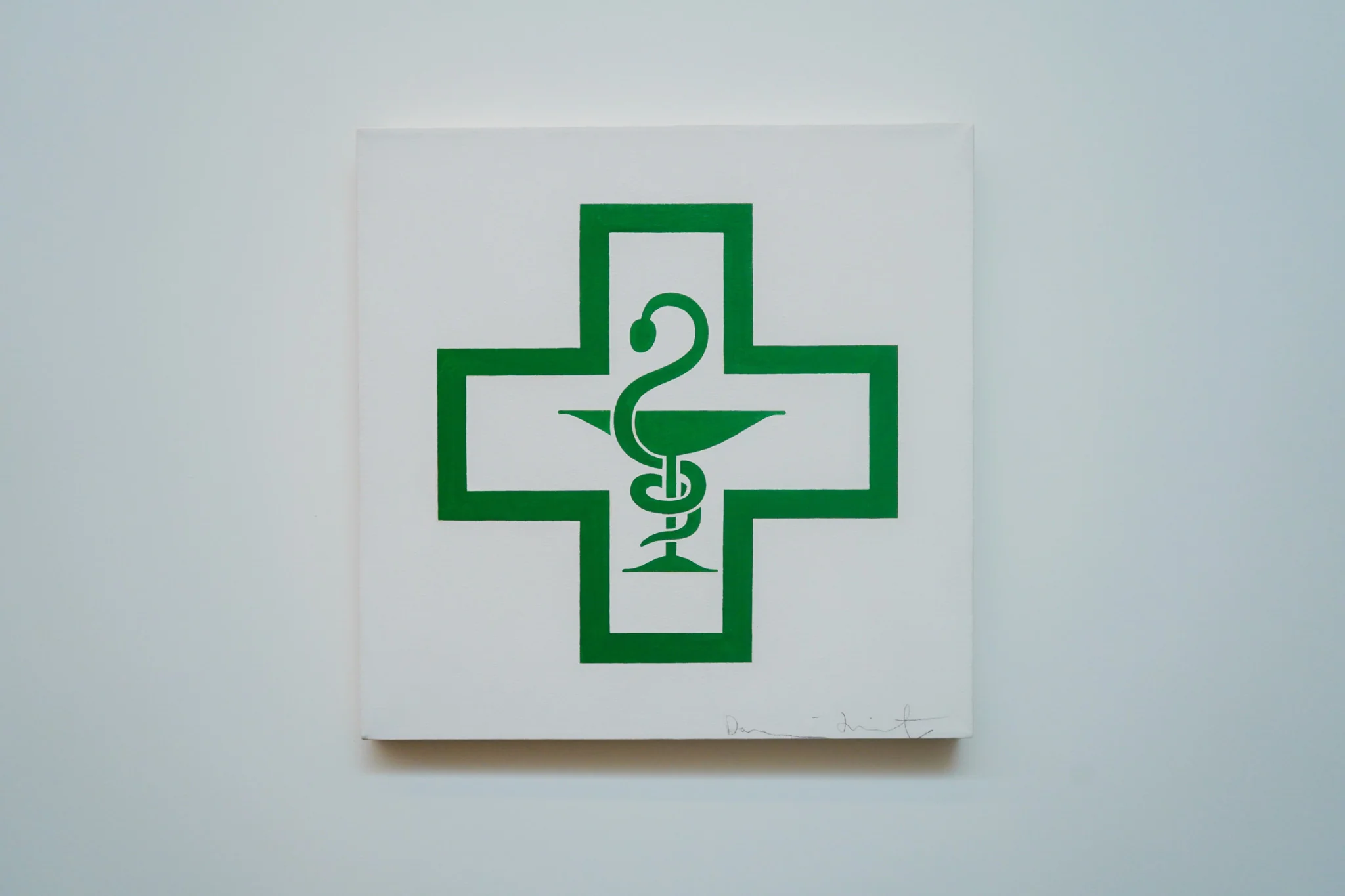 The Bowl of Hygeia and The Serpent of Epidaurus,
Damien Hirst, 2004. 
Acrylic on Canvas, 61 x 61 cm.