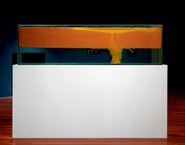 ไอร์สัน เอราคลิโต (บราซิล)
**DIVISOR III, 2545**
กระจก น้ำเกลือ และน้ำมันปาล์มแดง
220 x 160 x 20 ซม.
จัดทำสำหรับนิทรรศการ